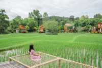 รีวิว บ้านนาก๋างโต้ง Baan Na Kang Tong จ.น่าน