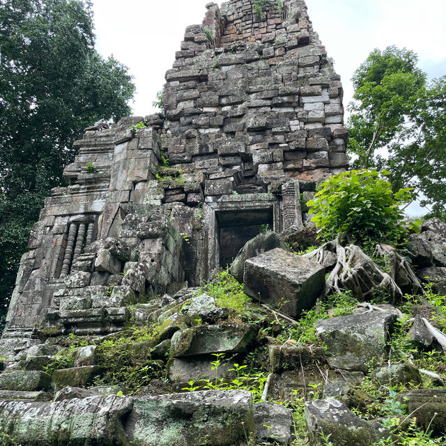 Preah Palilay - the three big trees