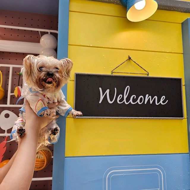 ⭐星街小區慈善寵物市集🐶🐱