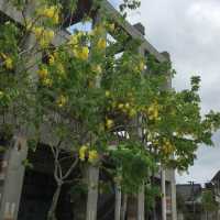 台中文化資產園區  舊酒廠藝術變身