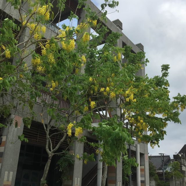 台中文化資產園區  舊酒廠藝術變身