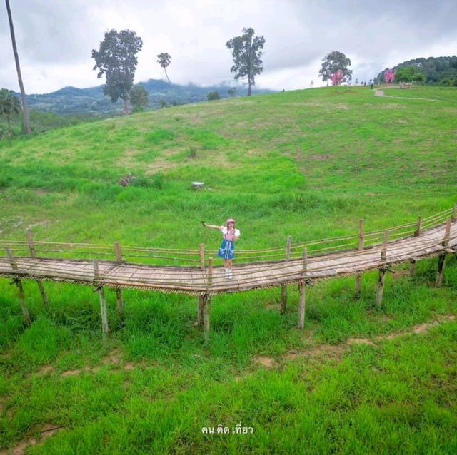 แลนด์มาร์คแห่งใหม่ ถ่ายรูปกับน้องแกะน่ารักๆบนดอย🐑🐏