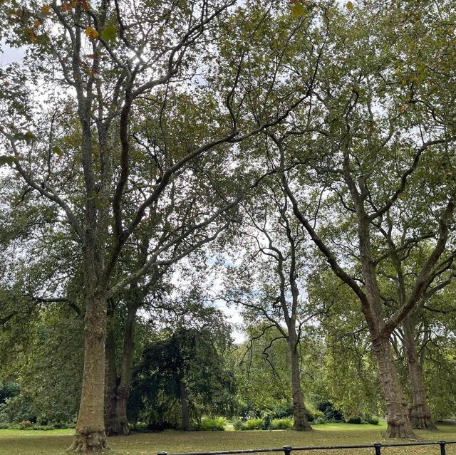 The 2 public Parks shouldn’t miss in London