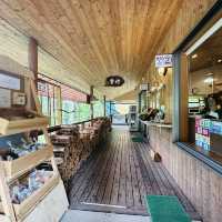 長野八千穗高原駒出池小木屋/露營區