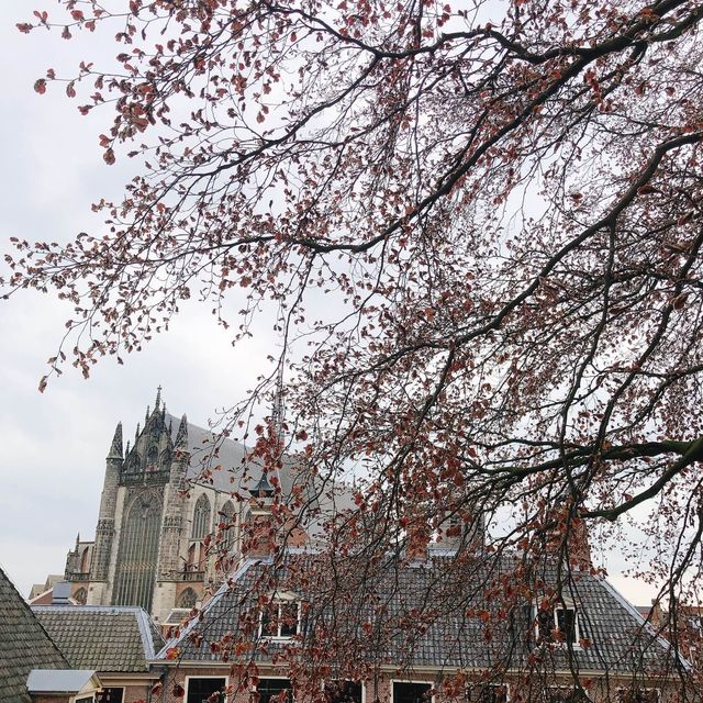 荷蘭🇳🇱萊頓🔰⚜️🔱 Burcht van Leiden 上層景觀篇