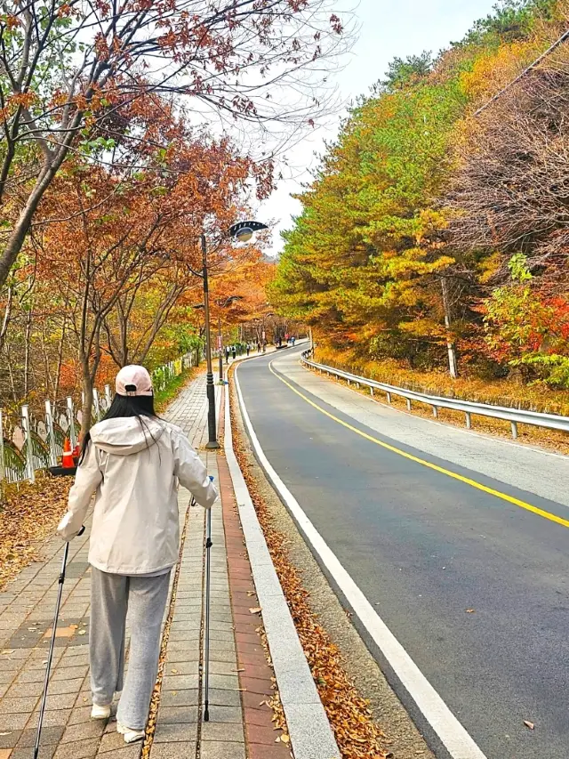 가을단풍보러 팔공산가요