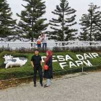 Desa Farm Kundasang, Sabah