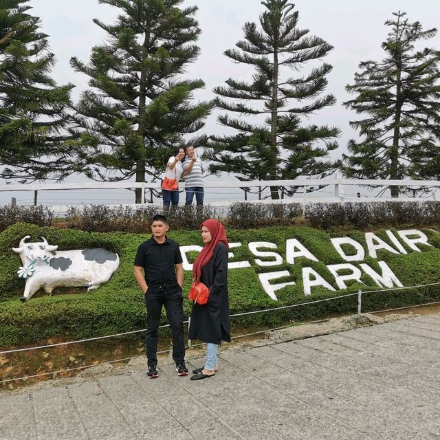 Desa Farm Kundasang, Sabah