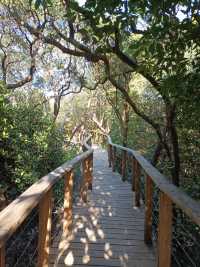 Hong Kong Wetland Park - Wetland and Marshes