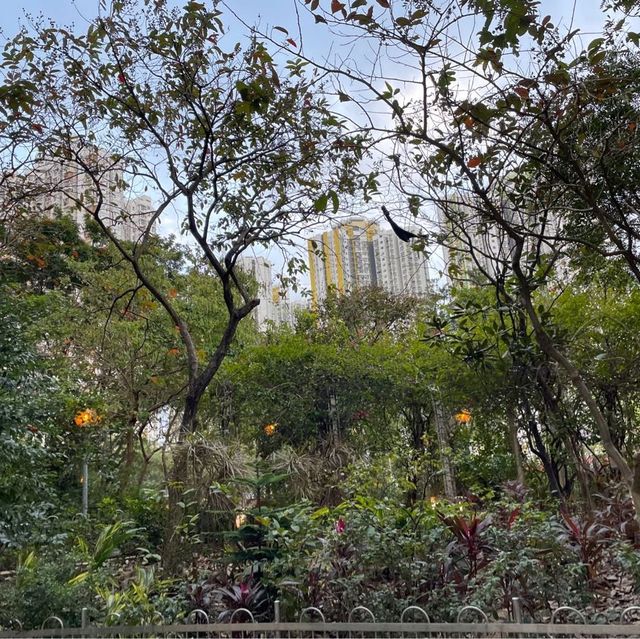 長沙灣休憩處