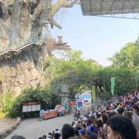 “Safari World” ซาฟารีครั้งเดียวไม่เคยพอ🌳