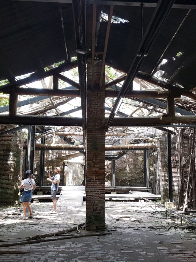 💕 Anping Tree House