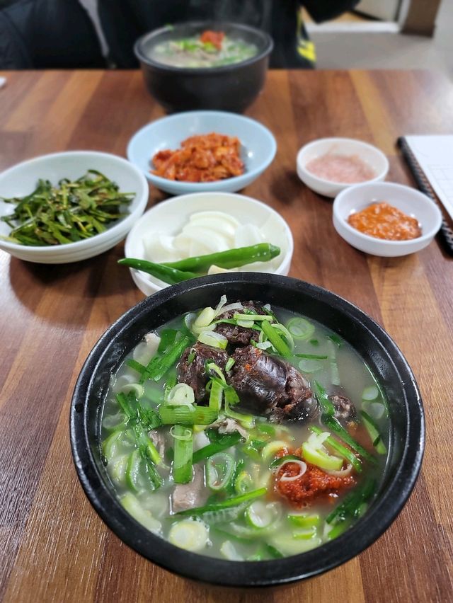 부산을 일찍 시작하는 방법! 아침이 아름다운곳🌅