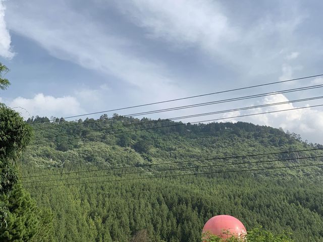 Zip bike 🚴 ride in the air 🤗