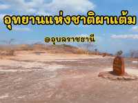 ผาแต้ม @อุบลราชธานี