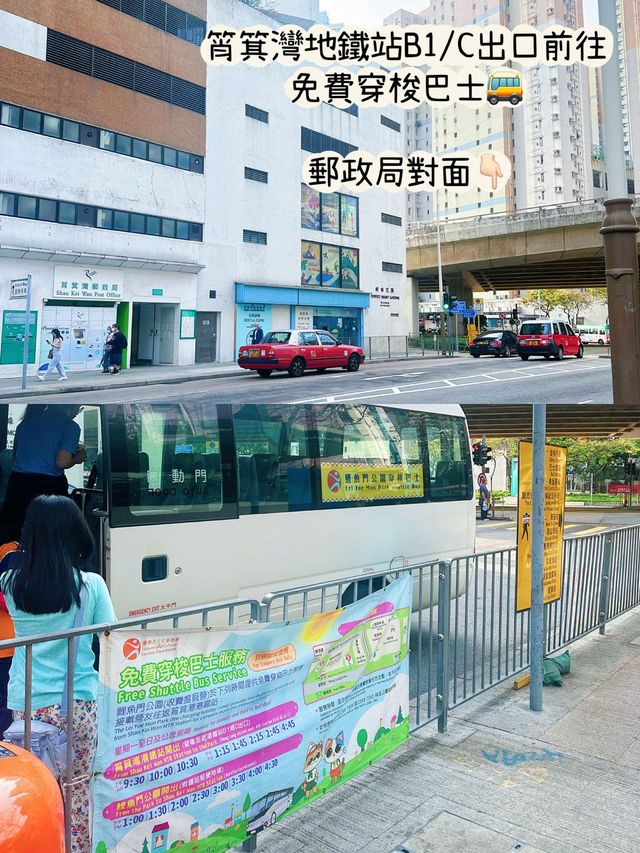 ⭐️鯉魚門度假村~住宿篇🏡 ⭐️鯉魚門度假村~住宿篇🏡