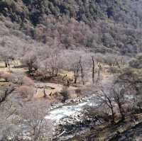 四姑娘山-包場體驗