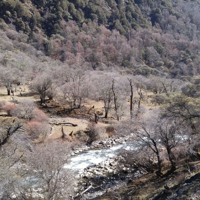四姑娘山-包場體驗