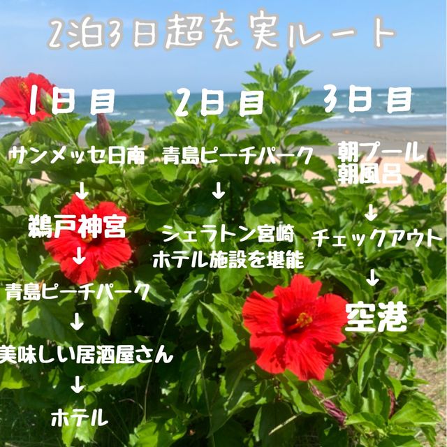 【宮崎】2泊3日の充実旅行♡