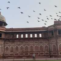 Agra Fort, best for leisure strolls!