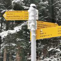 ❄️Hiking near Hohenzollern Castle 🏰