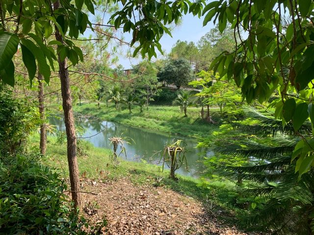 พักเขาใหญ่⛰️แค่หนึ่งใบเทาก็พักอยู่กับธรรมชาติได้