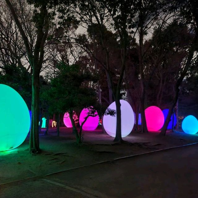 燈光與大自然的奇妙結合🌌🎡