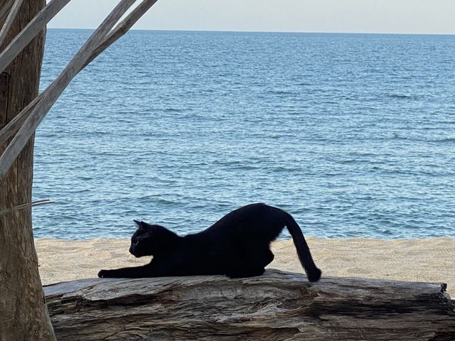หาดกระจูด สายบุรี ปัตตานี