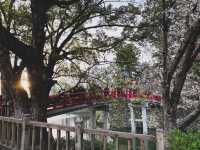 รีวิวเที่ยวเมืองโอคะซะกิ (Okazaki) 3 ฤดู