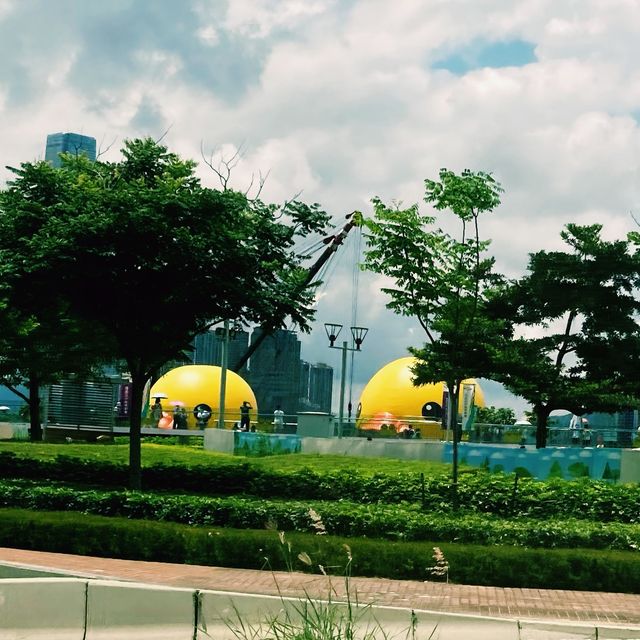 Double Ducks in Hong Kong 🐤🐤