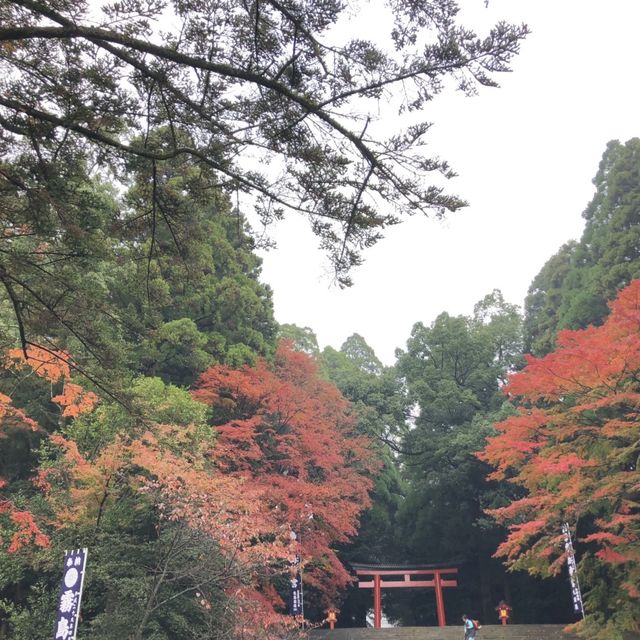 【鹿児島】人生で一度は行くべき‼️神秘的な空気を感じてみては⛩🌿 【鹿児島】人生で一度は行くべき‼️神秘的な空気を感じてみては⛩🌿