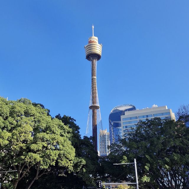 Bird eye view of Sydney 