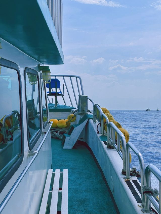 《宜蘭》搭乘遊艇出海賞鯨豚 一覽絕美海景-龜山島