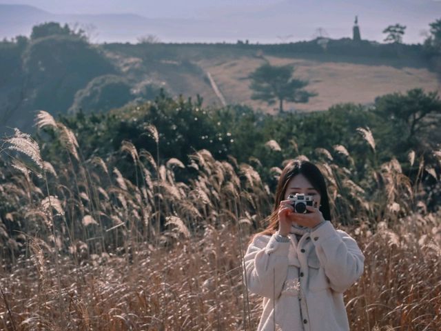 가볍게 오르며 제주를 느끼기 좋은, 산굼부리