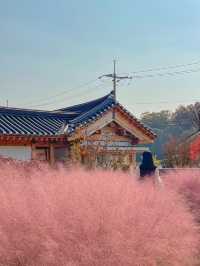 화성에서 남은 가을 즐기러 다녀오기🍂💖 