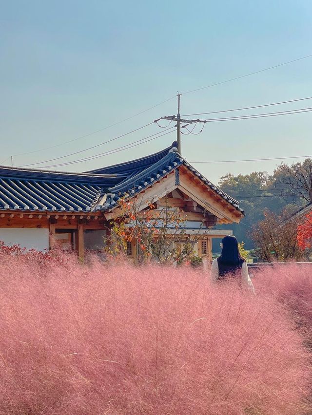 화성에서 남은 가을 즐기러 다녀오기🍂💖 