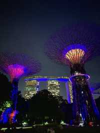 Stunning Supertrees at night✨