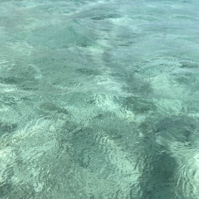 여름에도 좋고 겨울에도 좋은 괌🇬🇺🏖️