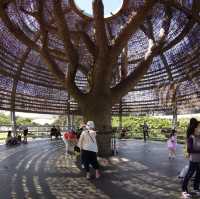 台東 海濱公園 (巨大鳥巢地標)