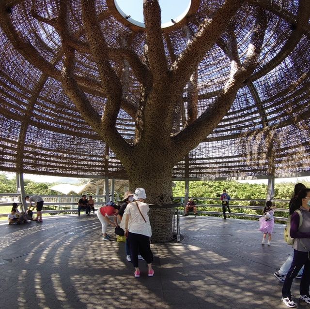 台東 海濱公園 (巨大鳥巢地標)