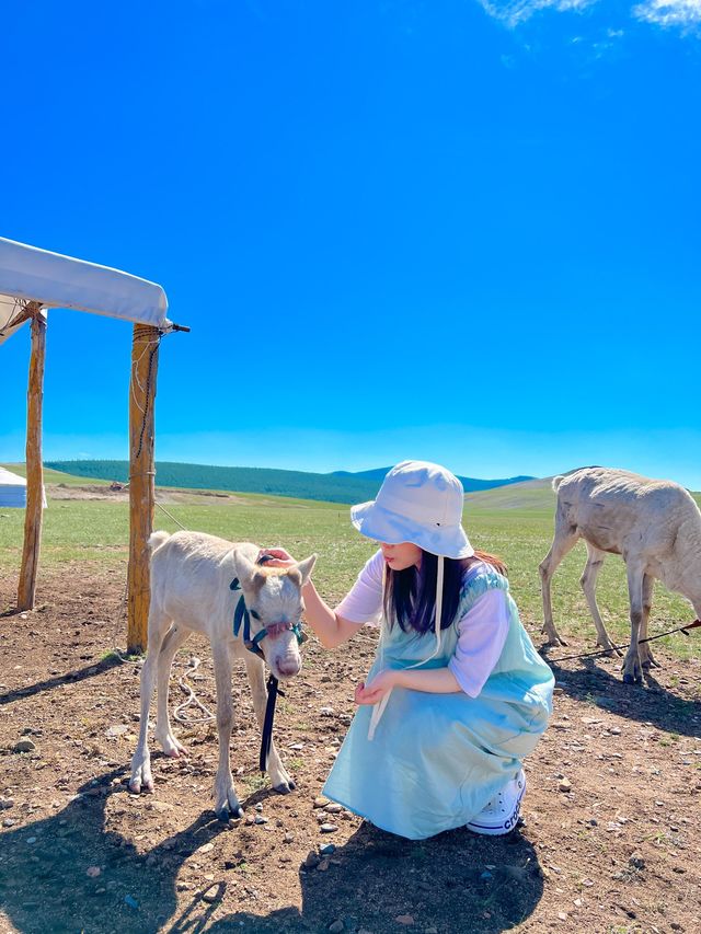 몽골여행에서 만난 순록가족🦌🦌