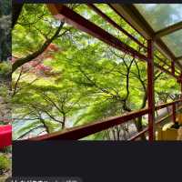 嵐山小火車：穿越童話世界！🚂🌸🌳
