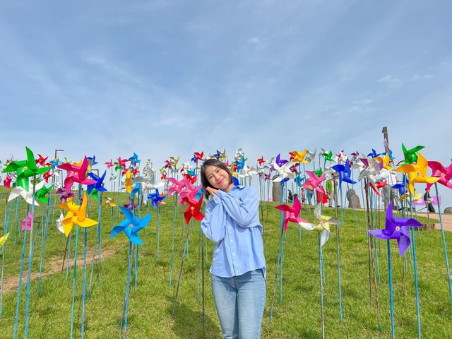파주 임진각 평화누리공원🎡피크닉