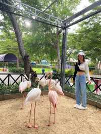 คาเมล รีพับบลิค Camel Republic ที่เที่ยวชะอำ