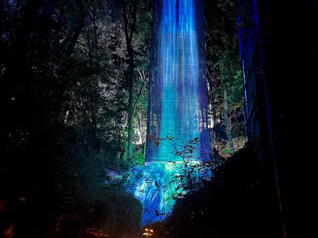 teamLab : A Forest Where Gods Live …งานดิจิตอลอาร์