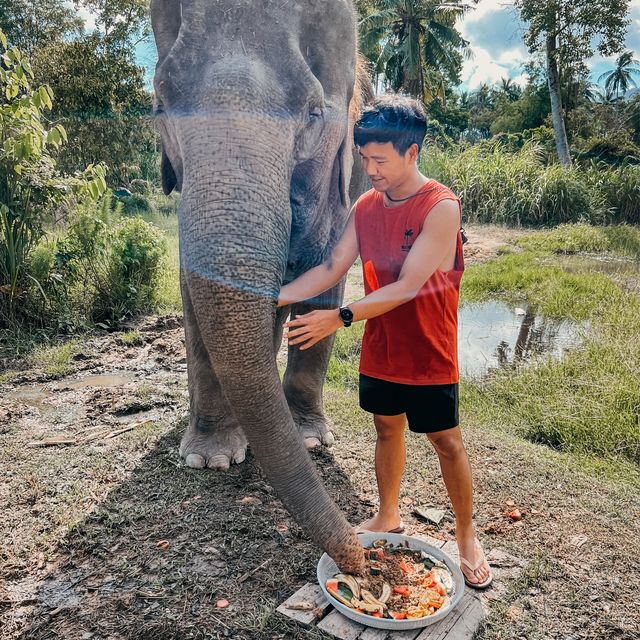 มาทำเค้กให้น้องช้างกินกัน ที่ เกาะสมุย 🎂🍰🧁