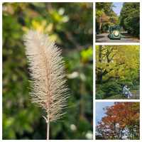 東京近郊好去處@昭和紀念公園