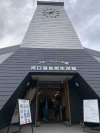大石公園是當地最著名的花田🌸