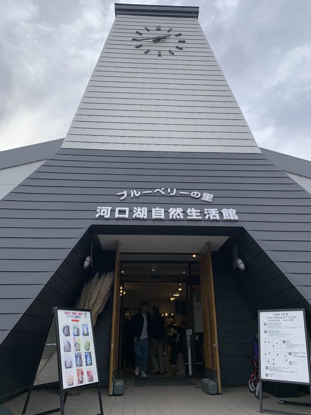 大石公園是當地最著名的花田🌸