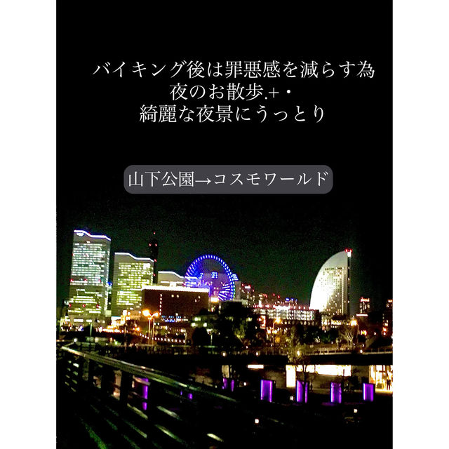 横浜観光  横浜観光